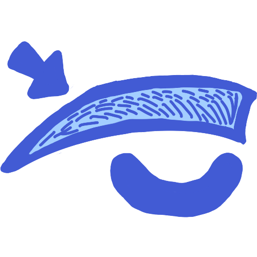 eyebrow