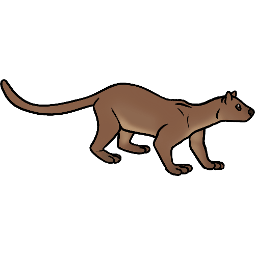 fossa