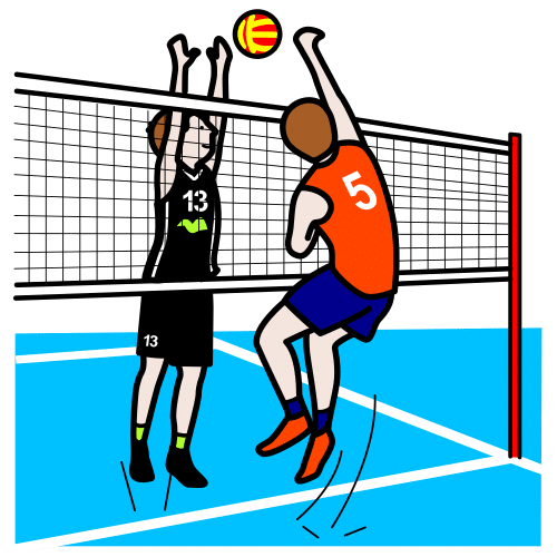 volleyball, to play volleyball