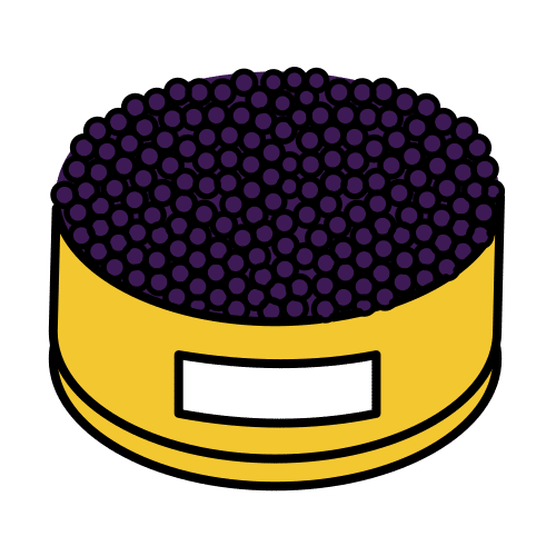 urubul varicos în caviar varicose ficus