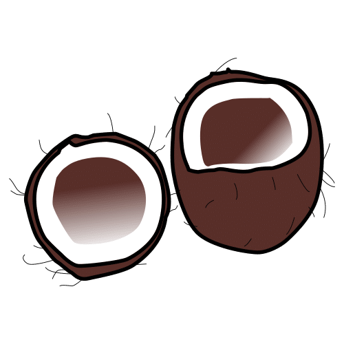 coconut