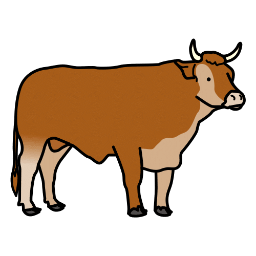 ox