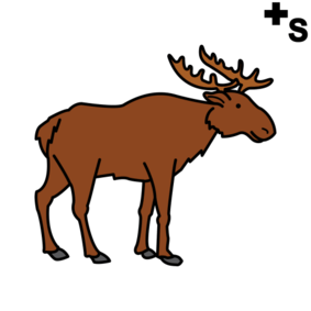 moose, elks