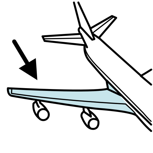 wing