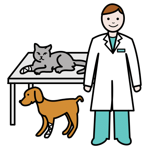 veterinario