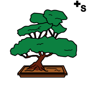 Bonsai