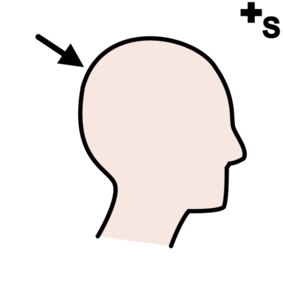 head profile