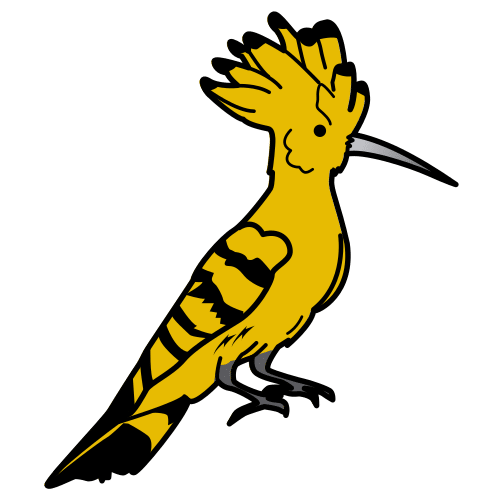 hoopoe