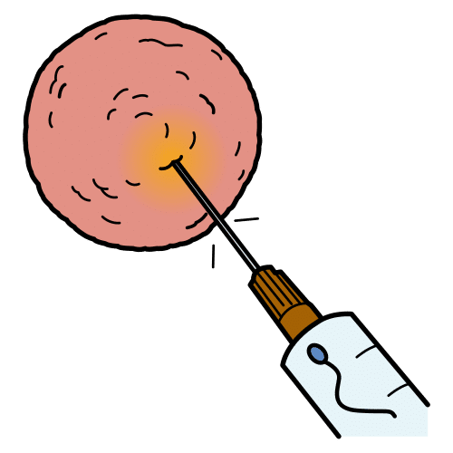 fecundaciÃ³n in vitro