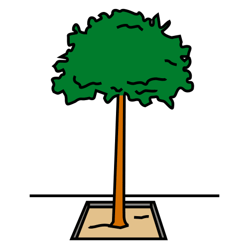 Ã¡rbol