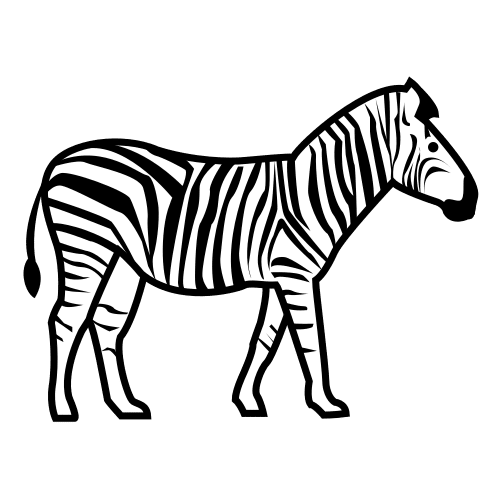 zebra
