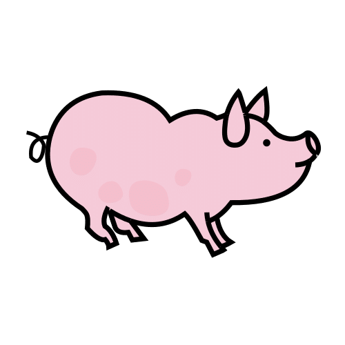 pig