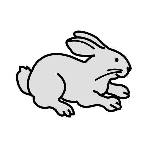 rabbit