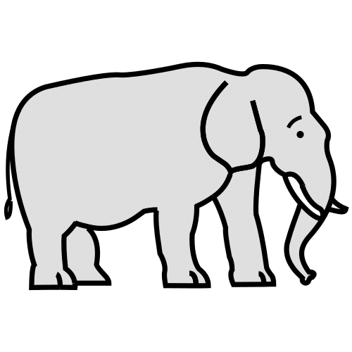 elephant
