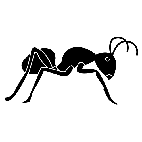 ant