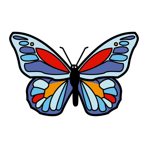 butterfly