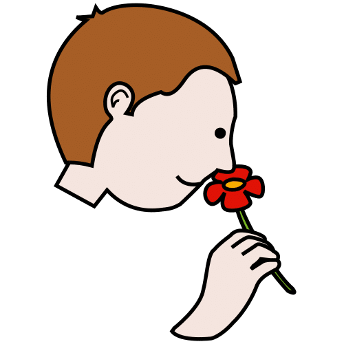 smell