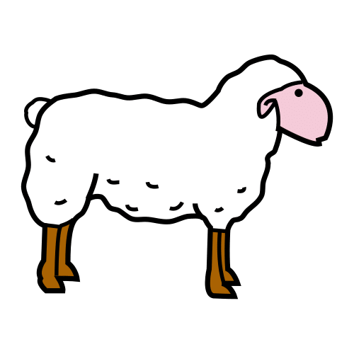 sheep