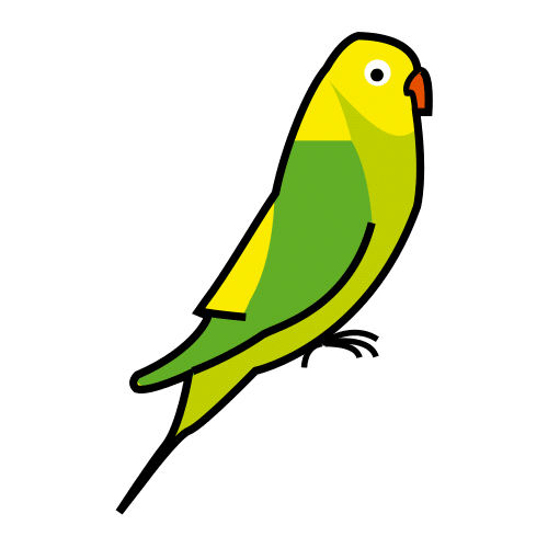 parakeet