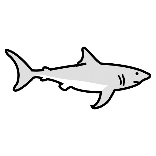 shark