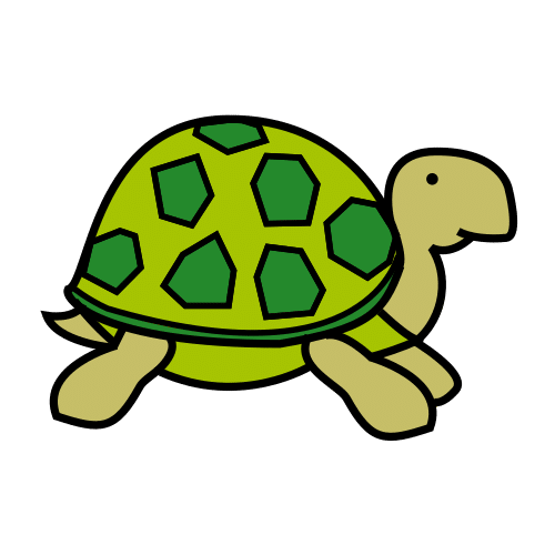 tortuga