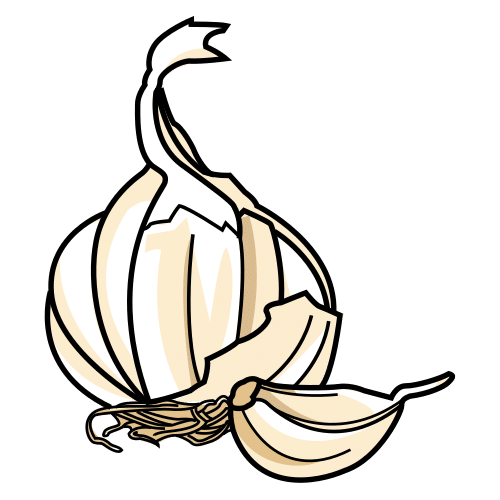 garlic