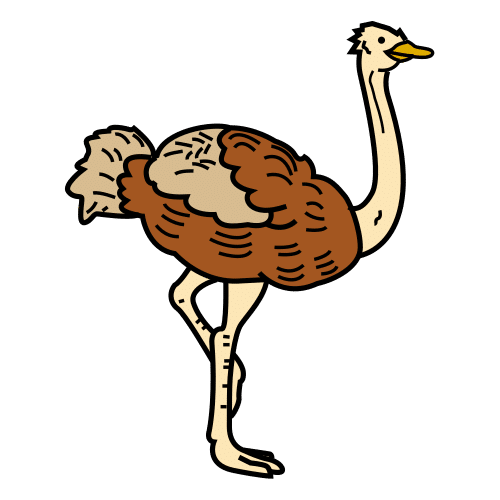 ostrich