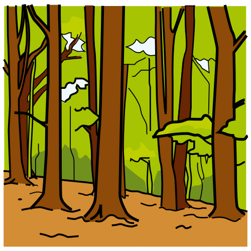 forest