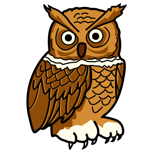 owl