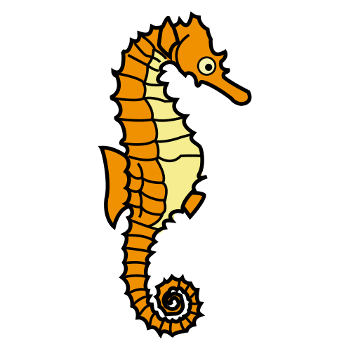 seahorse