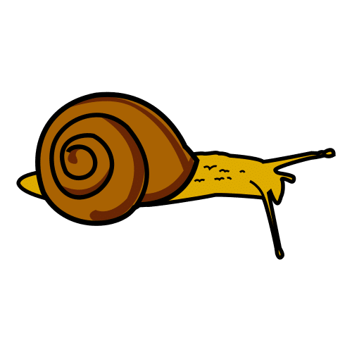 snail