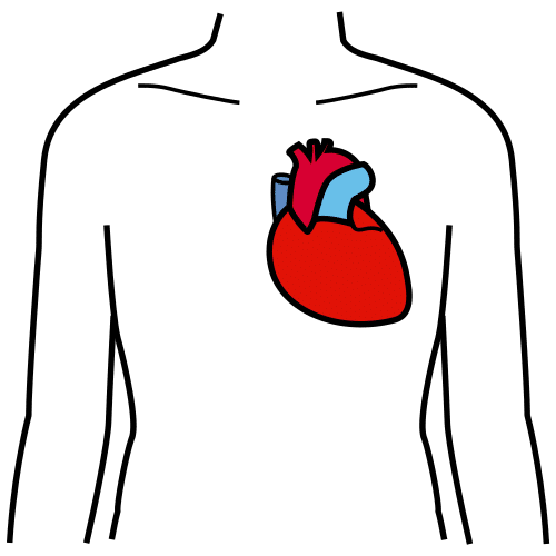 corazÃ³n