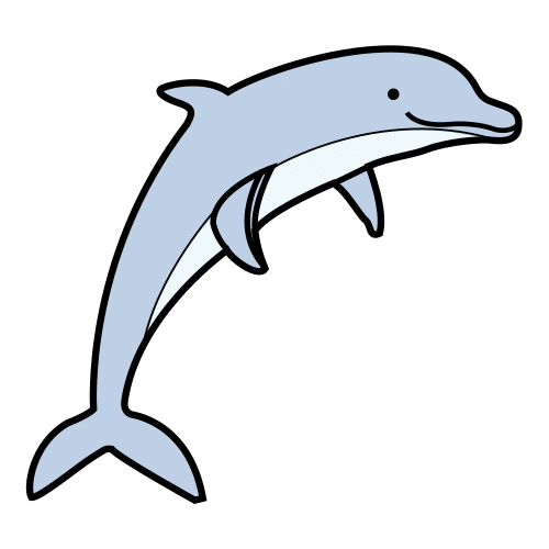 dolphin