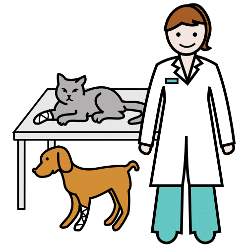 veterinary