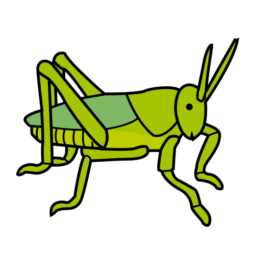 grasshopper