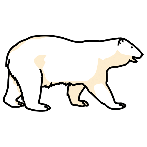 bear