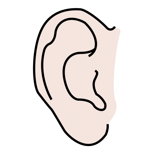 oreja