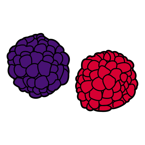 blackberries