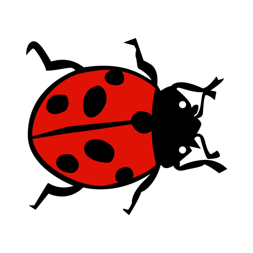 ladybug