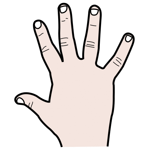 hand