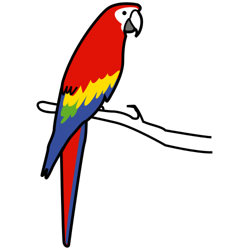 parrot