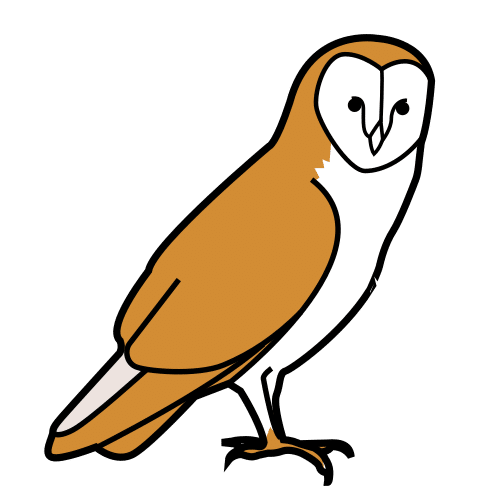 owl