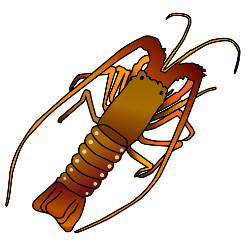 langouste