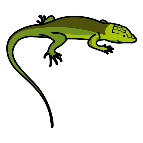 lagarto