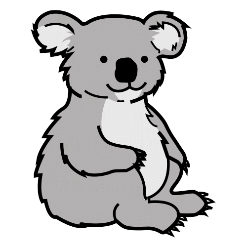 koala