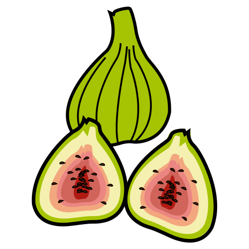 fig