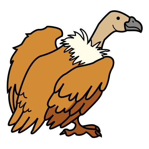 vulture