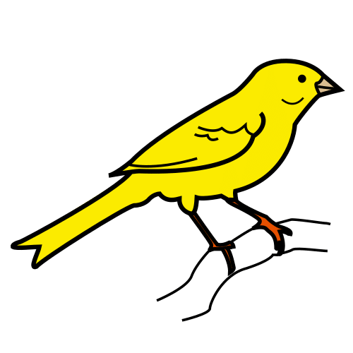 canary