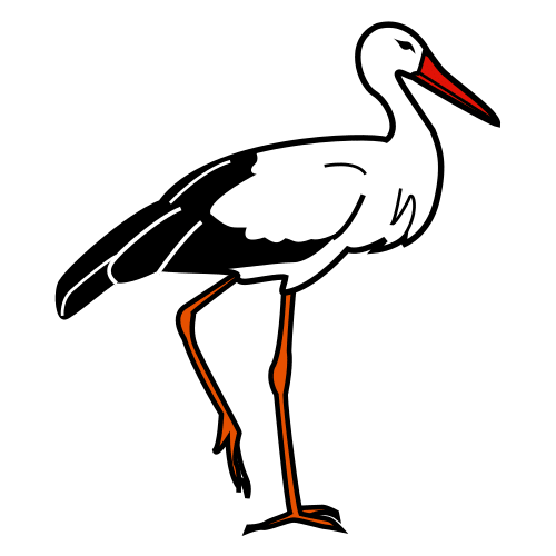 stork