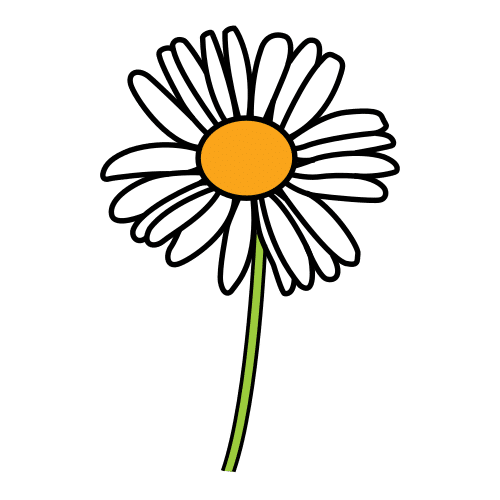 daisy